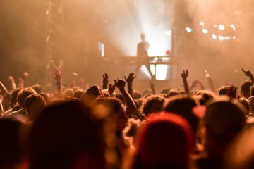 DJ-13