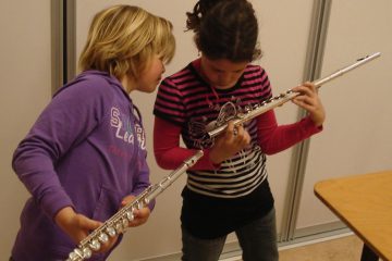Instrumentaal 3-80 jaar